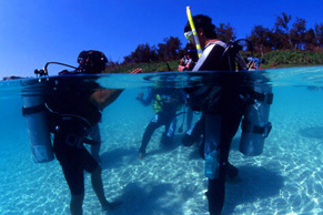 5 ［浅瀬での実習2回］限定水域講習　足がつく深さでのダイビング講習