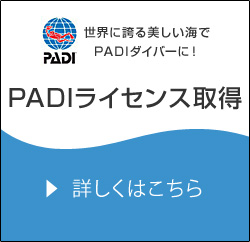 PADI饤󥹼