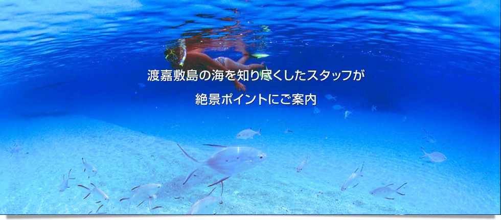 渡嘉敷島の海を知り尽くしたスタッフが絶景ポイントにご案内